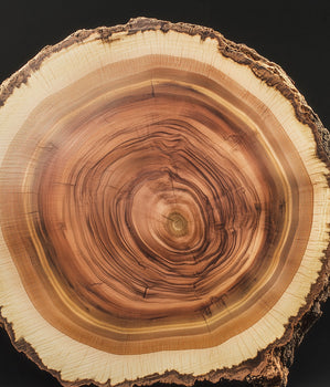 Cedarwood