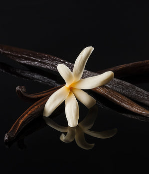 Vanilla